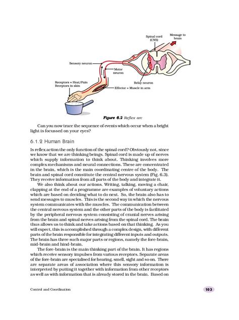 Image result for Class 10 Chapter 6 Science