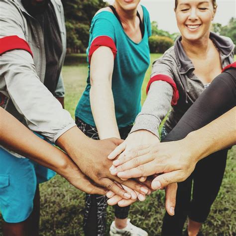 SDA Lessons Discussion 的图像结果