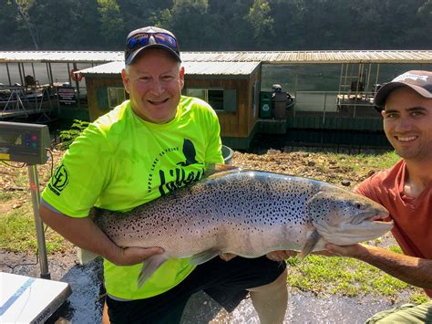 World Record Trout