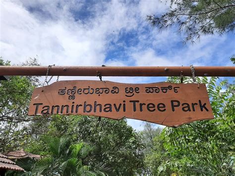 TANNIRBHAVI TREE PARK (2025) All You Need to Know BEFORE You Go (with ...