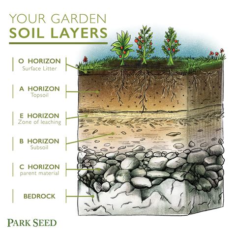 The Earth Layers Of Soil