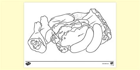 Meat Colouring | Colouring Sheets (teacher made) - Twinkl