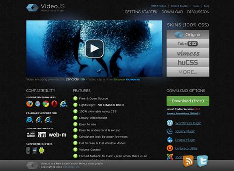 Video JavaScript Node.js 的图像结果