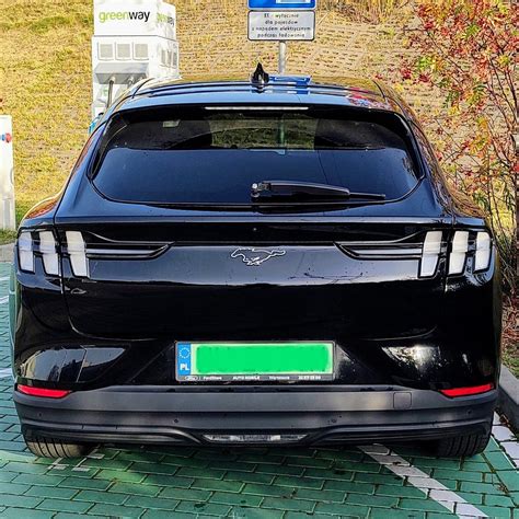 GEORGE TRAVEL (2026) All You Need to Know BEFORE You Go (with Photos ...