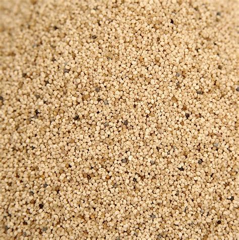 Biji poppy putih, utuh, organik, 1kg, tas | GOURMET VERSAND Toko Online