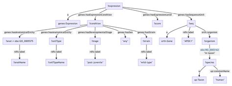 SPARQL Knowledge Graph 的图像结果