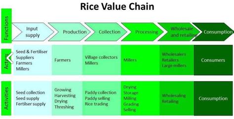 Sustainable Energy Use in the Rice Value Chain - energypedia