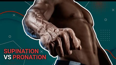 Difference Between Pronation And Supination