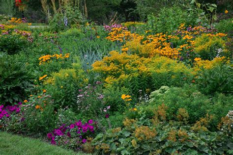 How to Fill Your Garden with Color in August - Blomidon Nurseries
