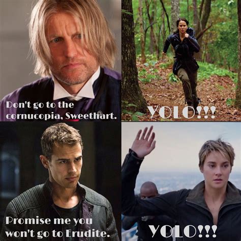 Pin by Kali on Memes | Divergent hunger games, Hunger games, Hunger ...