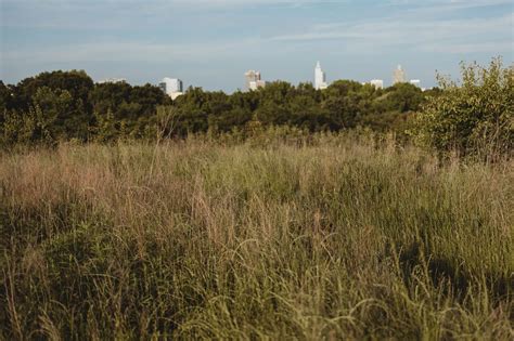 Thomas Dambo Trolls | Dix Park Conservancy