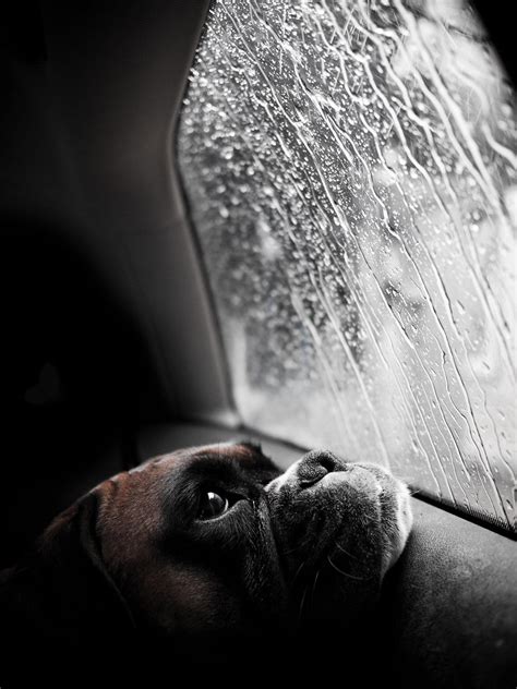 At the car wash, yeah! (064/365) | 06/05/11 - Turns out the … | Flickr