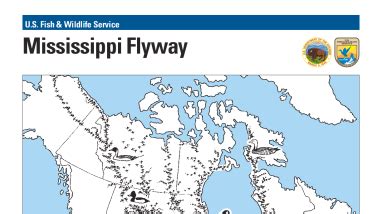 Mississippi flyway | FWS.gov