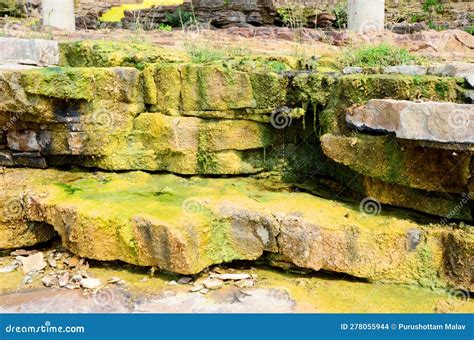 River Bank Rocks at Outdoor. Stock Photo - Image of ruins, tree: 278055944
