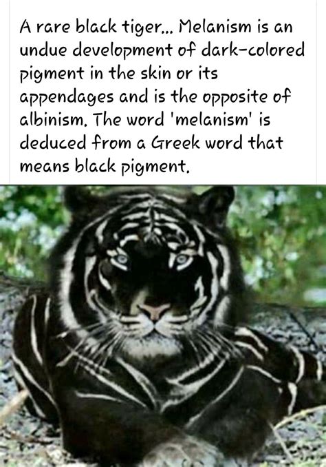 Funny animal names 120 hilarious side splitting unbelievable names ...