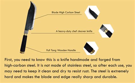 Buy AMINUS Brand Handmade Full Tang Big Size Chef Knife for Meat and ...