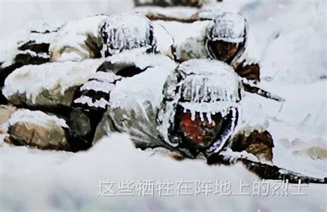 比电影更震撼！战地摄影师零距离拍摄的长津湖战役令人泪目_腾讯新闻