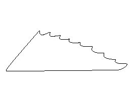 Image result for Fish Fin Patterns