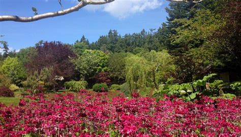 JAPANESE GARDEN (2026) All You Need to Know BEFORE You Go (with Photos ...