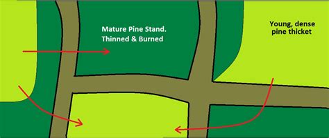 Image result for pine code map