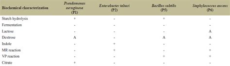 Production of bioactive compounds by Streptomyces sp. and their ...