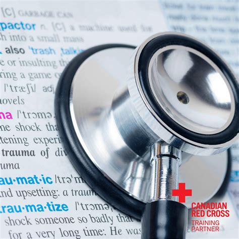 Medical Terminology - ONLINE | First Aid Plus