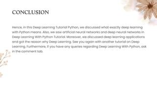 Deep Learning Tutorial Python 的图像结果