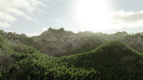 Image result for Blender Tutorial for Animation Forest