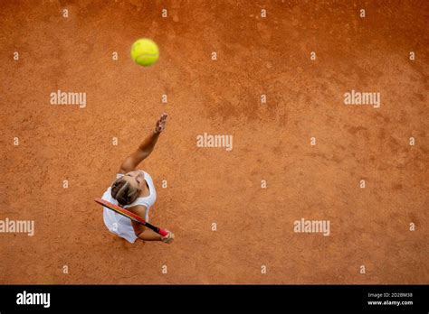 Tennis 的图像结果