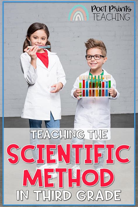 Image result for Scientific Method Lessons