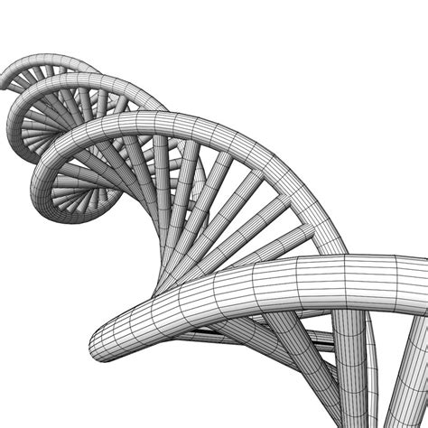 DNA 3D model - Download Free 3D models