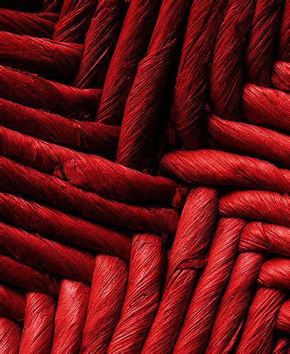 Image result for SQL Rood