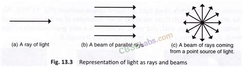 Class 6 Science Light Shadow and Reflection Free Tutorial 的图像结果