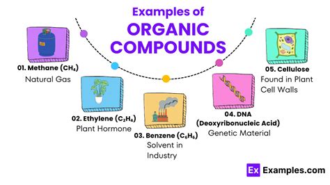 Image result for Organic Compounds Examples