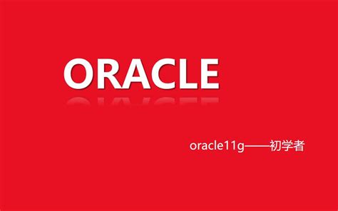 Oracle 11G Tutorial 的图像结果