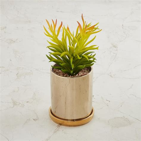 Buy Fiesta Artificial Plant in Pot from Home Centre at just INR 1499.0
