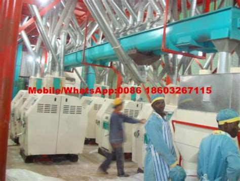 Image result for Maize Processing