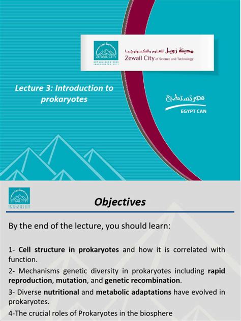 Image result for Course Prokaryotes