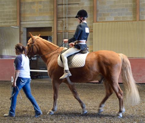 No stirrup November is here at Pegasus Riding in Philadelphia ...