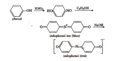 Chemistry of liebermann's nitroso reaction - Brainly.in
