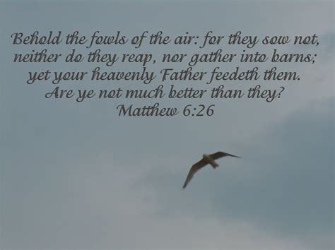 Matthew 6:26 I love this verse. If God will take care of the birds ...