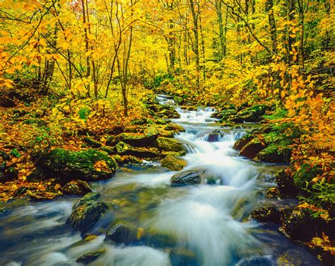 Best Places for Fall Camping in Vermont