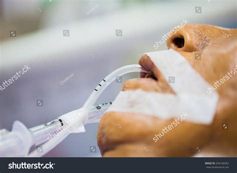 Patient Endotracheal Tube Orogastric Tube Stock Photo 294160352 ...
