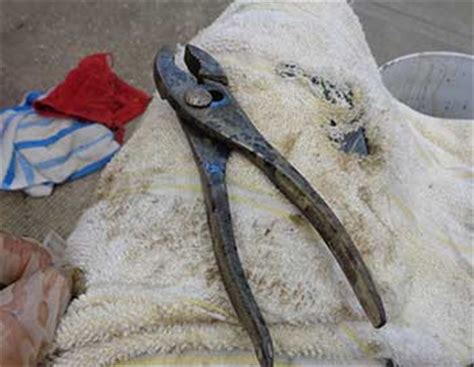 Remove Rust with Molasses 的图像结果