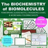 The Biochemistry of Biomolecules Crossword Puzzle with and without Word ...