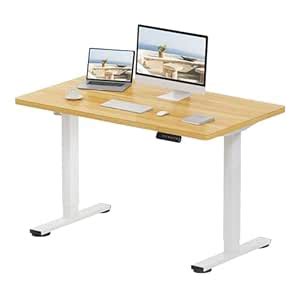 FLEXISPOT -"Flexispot Basic Pro Electric as Hoehen adjustable table ...