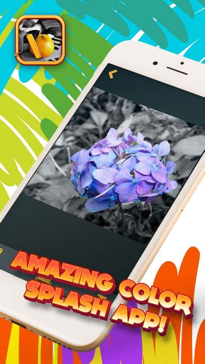 Color Splash App 的图像结果