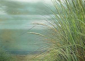 Hadley House Home Décor Look to the Sea by Hal Halli Wall Art, 18 x 24 ...