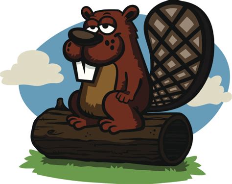 海狸,吉祥物,动物头,三只动物,生气,褐色,艺术,水平画幅,绘画插图,符号设计模板,汇图网www.huitu.com
