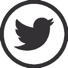 CitrusLeaf | ERP Developers | Enterprise Software Team | Low Code Experts